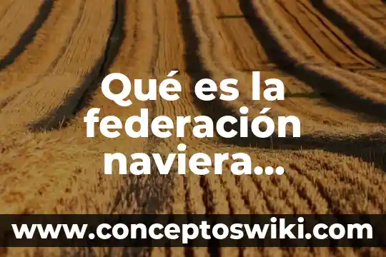 Que es el interes fiscal de la federacion 7 Qué es la federación naviera internacional