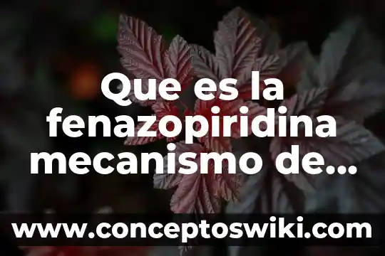Qué es la identificación proyectiva mecanismo de defensa ejemplo 8 Que es la fenazopiridina mecanismo de accion
