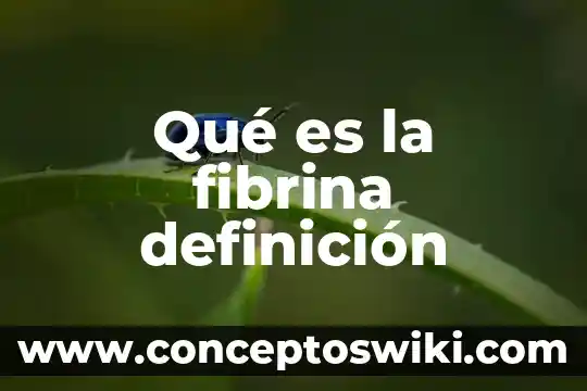 Qué es etimología grecolatina definición 7 Qué es la fibrina definición