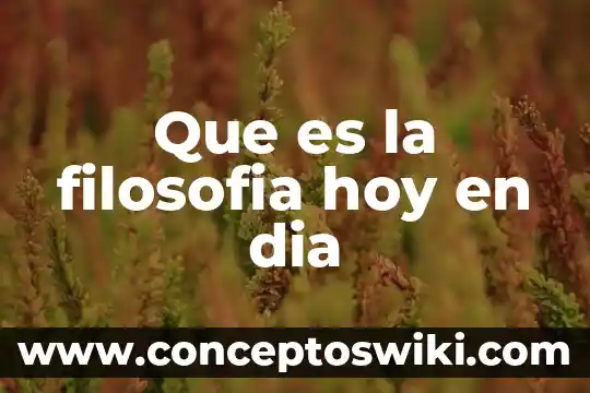 Que es ser pedagogo hoy 5 Que es la filosofia hoy en dia