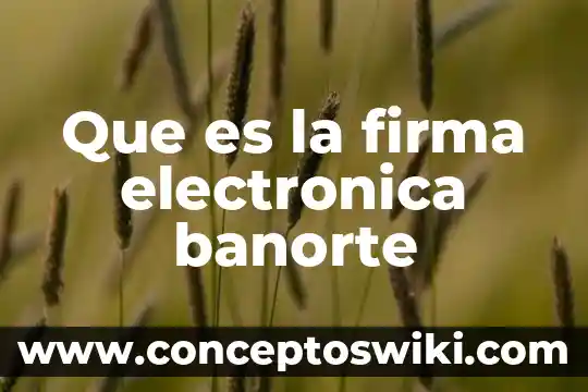 Que es la firma electronica azteca 3 Que es la firma electronica banorte