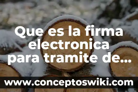 Qué es el afinidad electrónica 7 Que es la firma electronica para tramite de reconocimiento conacyt