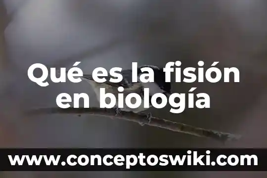 Que es perpetuacion en biologia 5 Qué es la fisión en biología
