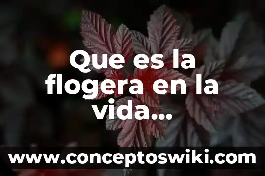 Que es la bebida vuelve a la vida 4 Que es la flogera en la vida estudiantil