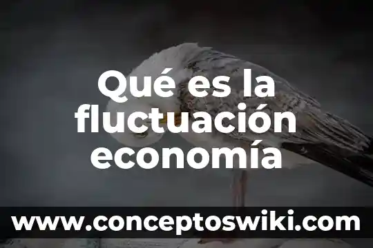 Que es el pmc en economia 6 Qué es la fluctuación economía