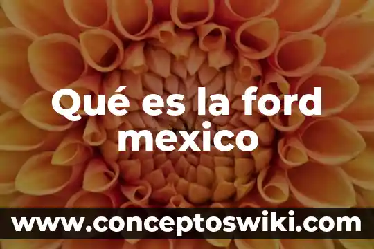 Que es un cuadro de inmunizacion en mexico 4 Qué es la ford mexico