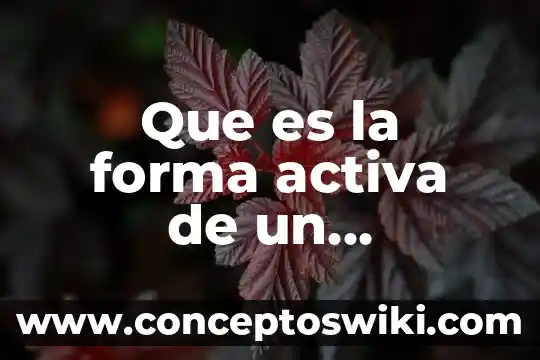 Que es principio de forma 7 Que es la forma activa de un medicamento