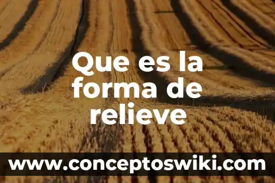 Que es forma de un documentoi 3 Que es la forma de relieve