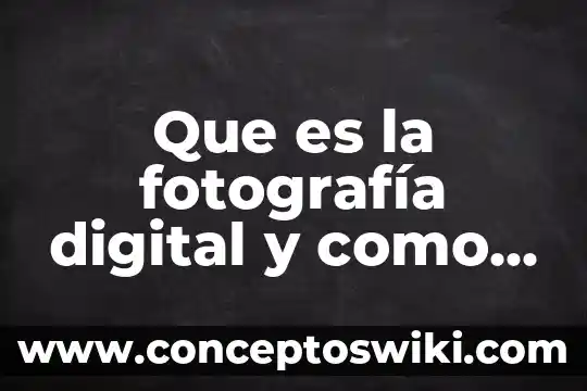 Que es la planta del amigo 4 Que es la fotografía digital y como funciona