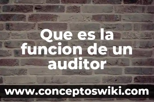 Que es sc y su funcion 4 Que es la funcion de un auditor