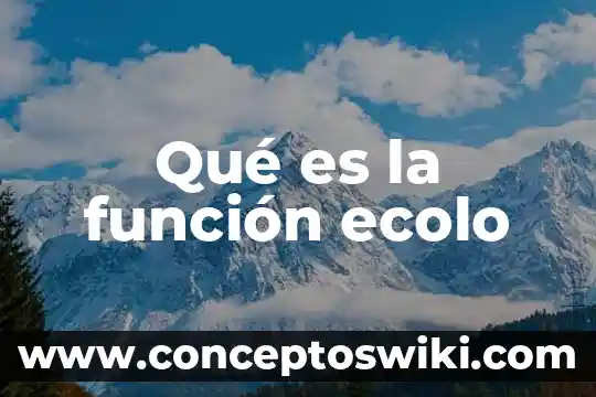 Que es funcion molecular 5 Qué es la función ecolo