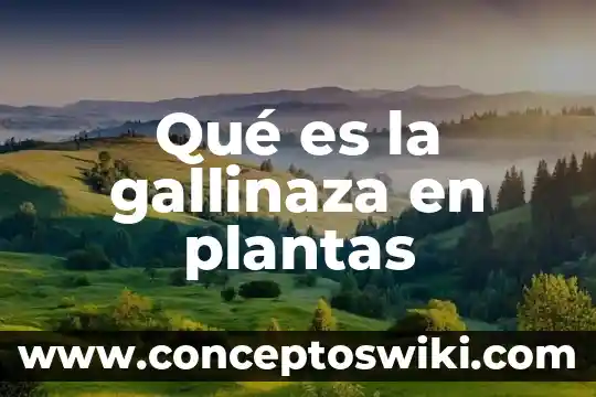Animal que es gran cazador 6 Qué es la gallinaza en plantas