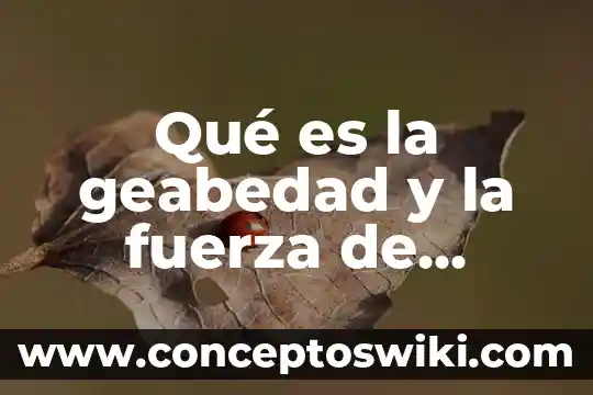 Transductor de fuerza que es 5 Qué es la geabedad y la fuerza de gravedad