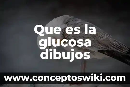 Que es bidimensional dibujos 4 Que es la glucosa dibujos