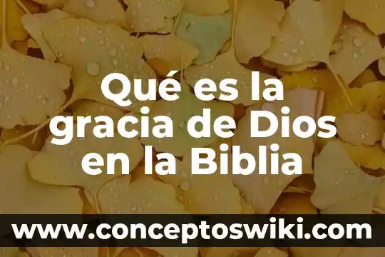 Que es ser fiel a dios 8 Qué es la gracia de Dios en la Biblia