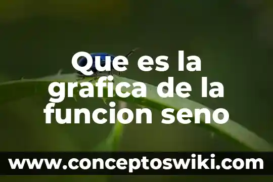 Que es la edicion grafica ejemplos 4 Que es la grafica de la funcion seno
