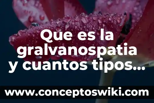 Qué es magnitud cuales y cuantos tipos de magnitud existen 4 Que es la gralvanospatia y cuantos tipos hay