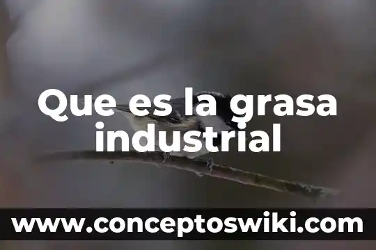 Que es mejor ingeniero civil o industrial 5 Que es la grasa industrial