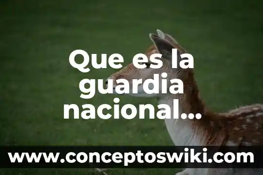 Que es discado directo nacional 5 Que es la guardia nacional mujeres