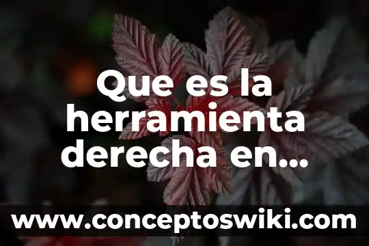 Que es el limite por la derecha 5 Que es la herramienta derecha en word