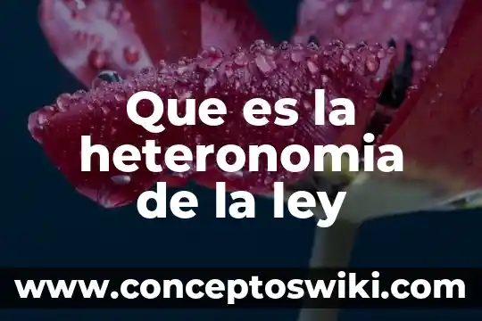 Qué es anton la ley 4 Que es la heteronomia de la ley