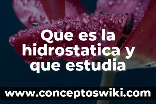 Que es estudia la macroeconomia 8 Que es la hidrostatica y que estudia