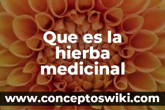 Que es el remolino como planta medicinal 5 Que es la hierba medicinal