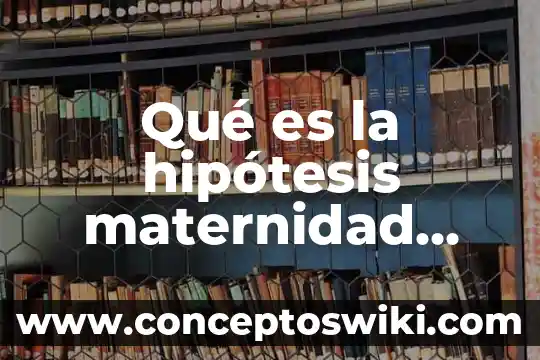 Número RMU que es México 7 Qué es la hipótesis maternidad subrogada en México