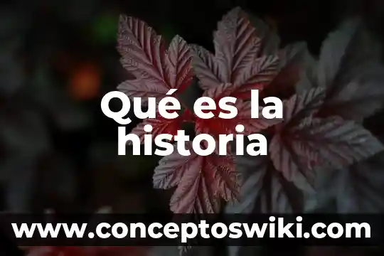 Que es aliarce en historia 4 Qué es la historia