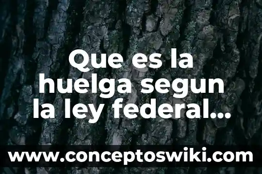 Que es la ley orgánica del poder federal 8 Que es la huelga segun la ley federal del trabajo