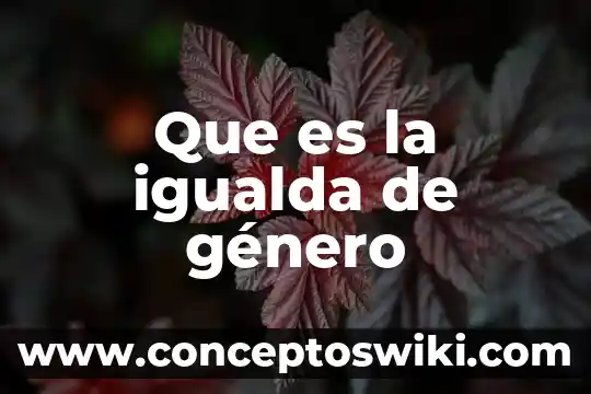 Qué es estereotipo es estereotipo de género 5 Que es la igualda de género