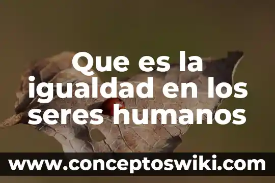 Que es tipo de operacion saldo 4 Que es la igualdad en los seres humanos