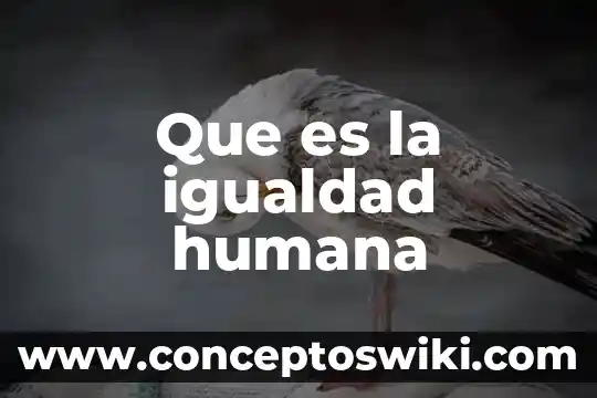 Que es la voluntad humana 4 Que es la igualdad humana