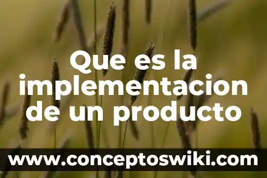 Que es el producto en una empresa 3 Que es la implementacion de un producto