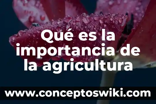 Qué es el fuego y su importancia 8 Qué es la importancia de la agricultura