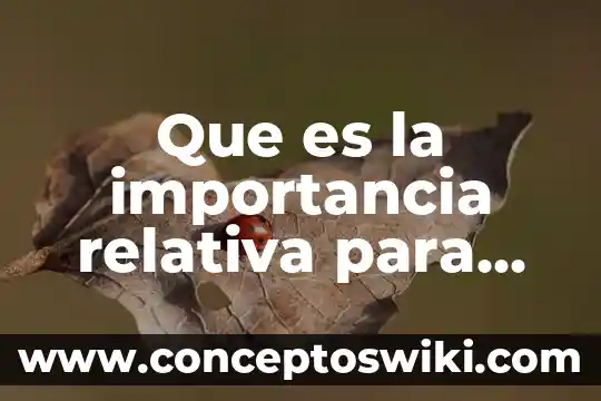 Que es dualidad relativa en derecho 4 Que es la importancia relativa para un auditor