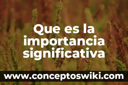 Que es la figura significativa 4 Que es la importancia significativa