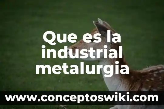 Qué es sartales significado 8 Que es la industrial metalurgia