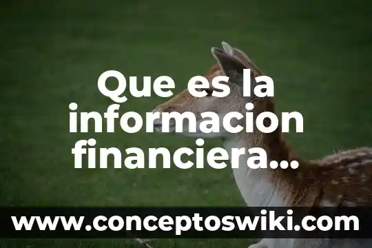 Qué es una fuentes de informacion y tipos de fuentes 6 Que es la informacion financiera segun nif a3