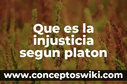 Según Platón que es filosofar 3 Que es la injusticia segun platon