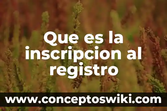 Número de inscripción que es 4 Que es la inscripcion al registro