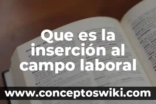 Que es un campo microsoft access 3 Que es la inserción al campo laboral