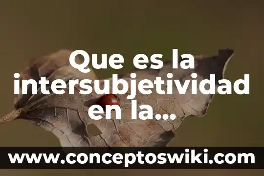 Que es transgresion de normas en la comunicación virtual 5 Que es la intersubjetividad en la comunicacion