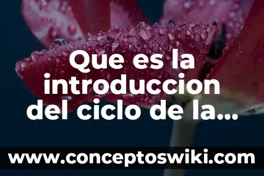 Que es estilo de vida sin residuos 3 Que es la introduccion del ciclo de la vida