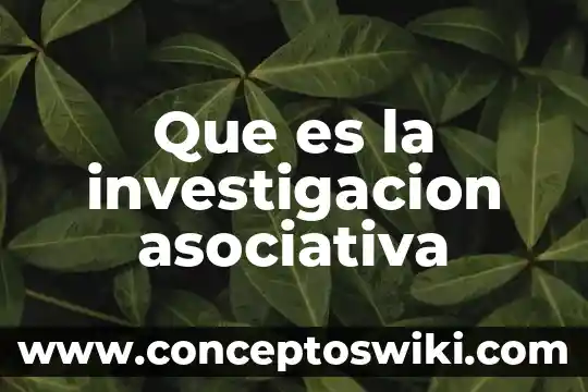 Que es un un proyecto de investigacion 3 Que es la investigacion asociativa