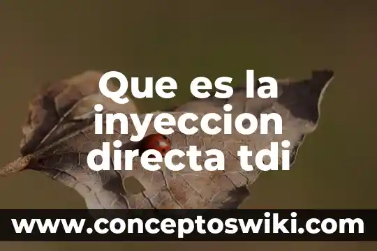 Qué es la señal directa 5 Que es la inyeccion directa tdi