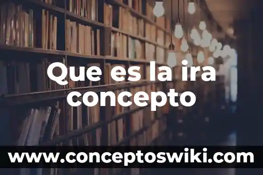Qué es el concepto de sistemas 3 Que es la ira concepto
