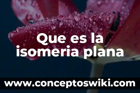 Que es la escalera plana 3 Que es la isomeria plana