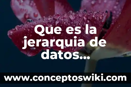 Qué es mantenimiento de equipos y sistemas computacionales 7 Que es la jerarquia de datos computacionales