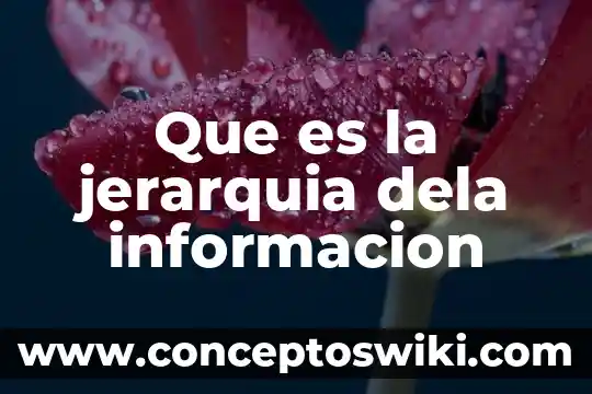 Información que es una noticia 8 Que es la jerarquia dela informacion